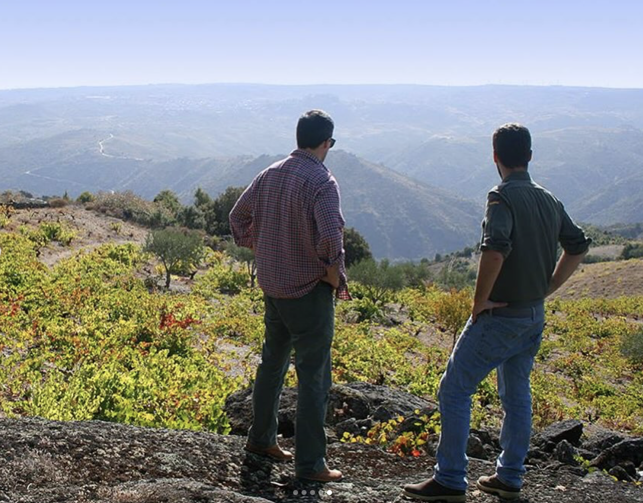 Arribas Wine Company 1