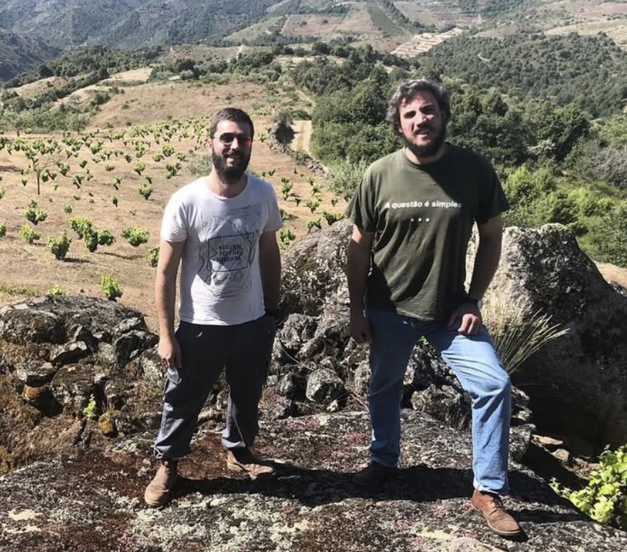 Arribas Wine Company 3