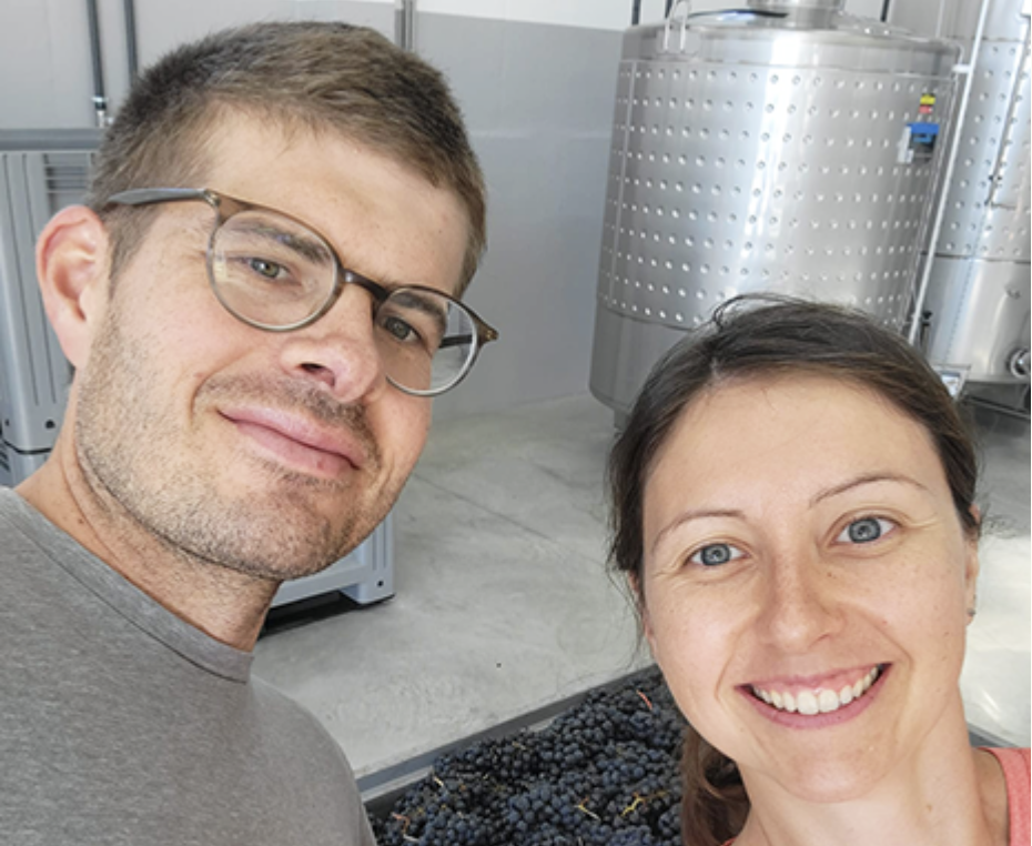 Vinhos Desviso 2